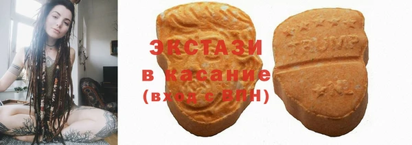 гидра Арсеньев