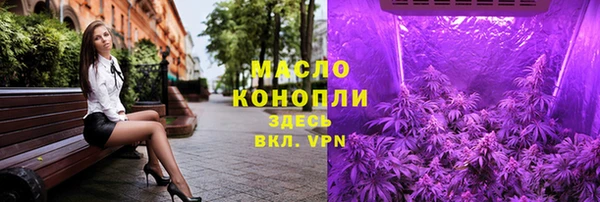 гидра Арсеньев