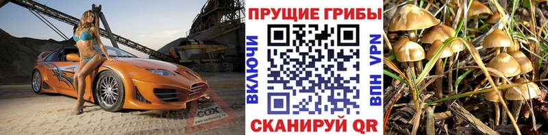Галлюциногенные грибы Cubensis  нарко площадка официальный сайт  Завитинск 
